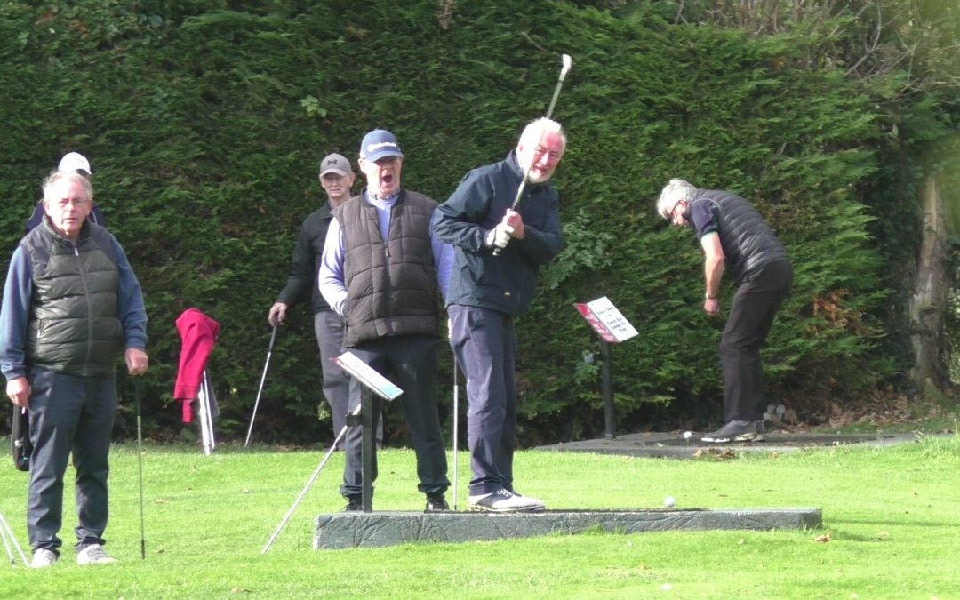 Some pictures from our Alliance in Trim today. Thanks to John Plunkett for the pictures .