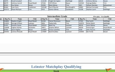 Leinster Matchplay qualifier in Trim on 27th of April. Times be released at a later date