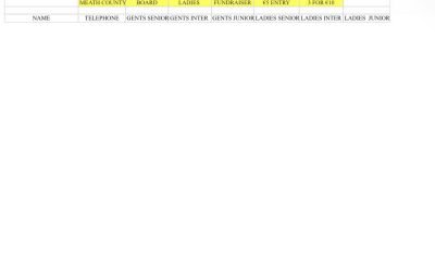 MEATH COUNTY BOARD
LADIES FUNDRAISER TERMS AND CONDITIONS.
NAME THE WINNERS OF EACH CATEG