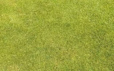 Finish of Ladies play -off